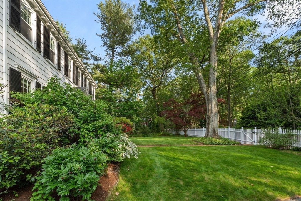 77 Meriam Street Lexington, MA 02420 - Photo 32 of 35 a view of a yard with a tree