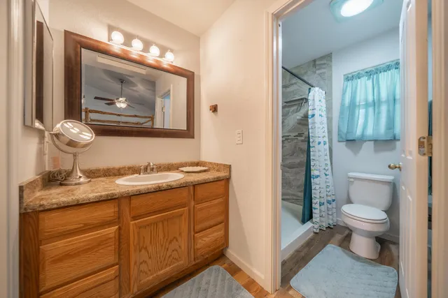 a white toilet sitting next to a shower curtain
