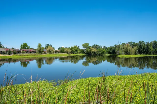 a front view of a house with a yard and potted plants