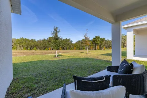 a view of a couches in a backyard