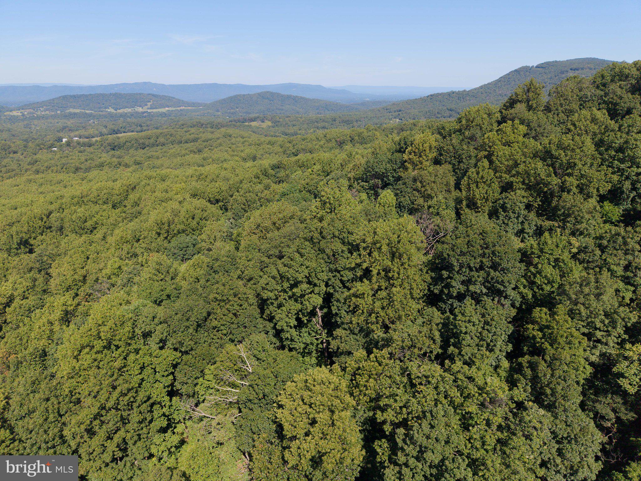 2033 Smith Run Road Bentonville, VA 22610 - Photo 23 of 71 Gallery Image 23
