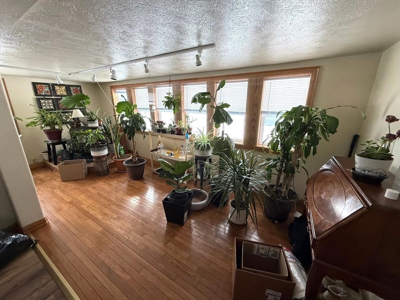 N4915 State Street Leopolis, WI 54948 - Photo 5 of 19