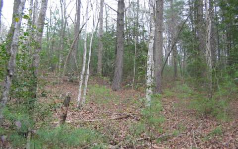 Lot 1 Sunny Point Road Murphy, NC 28906 - Photo 1 of 1 Main View