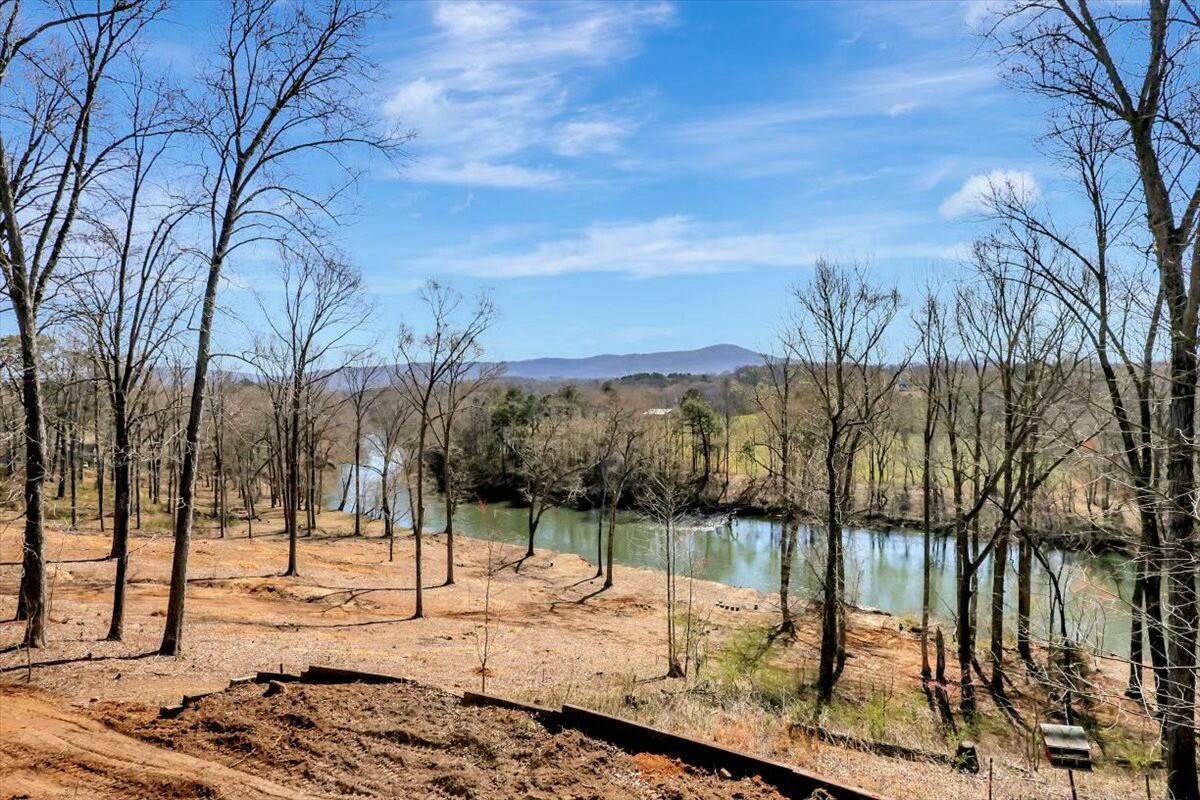 182 Rivers Edge Lane Benton, TN 37307 - Photo 50 of 62 tempImageLJPHpZ