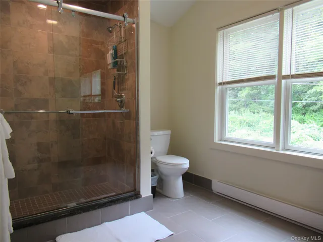 a bathroom with a toilet and a shower