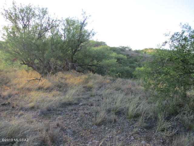 920 Aciano Court, Unit 66 Rio Rico, AZ 85648 - Photo 2 of 6