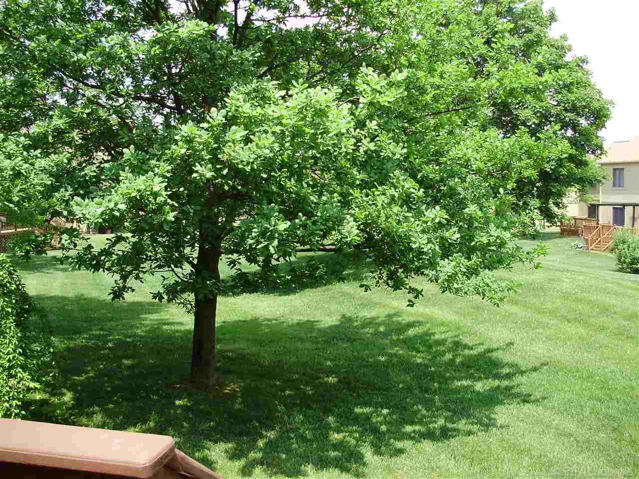 2267 Crystal Drive Rochester, MI 48309 - Photo 29 of 33 31292366-28.JPG
