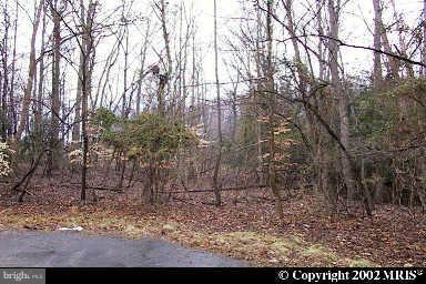 6108 Chapman Road Lorton, VA 22079 - Photo 1 of 1 Exterior (Main)