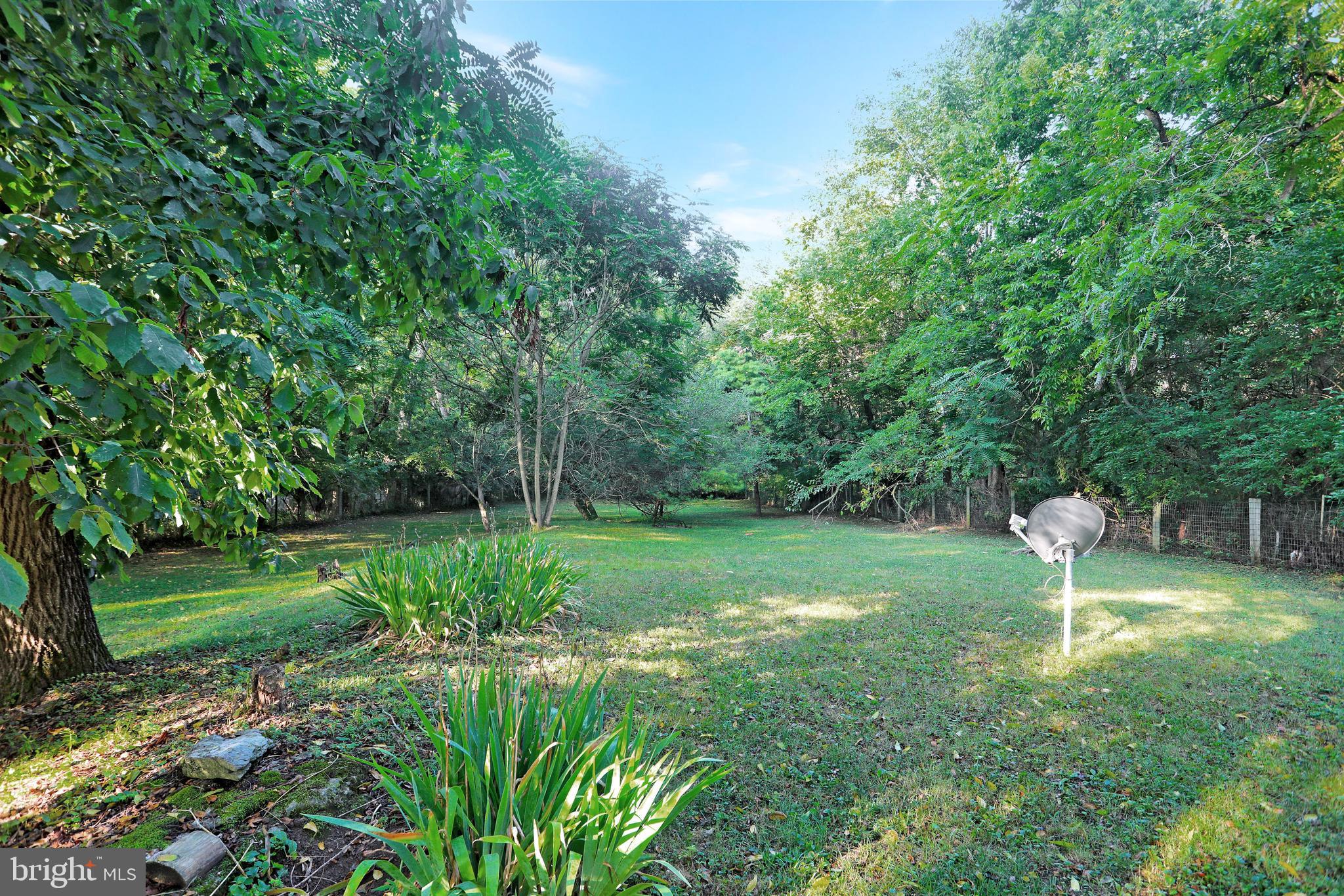 397 Pyletown Road Boyce, VA 22620 - Photo 19 of 22 Lovely back yard