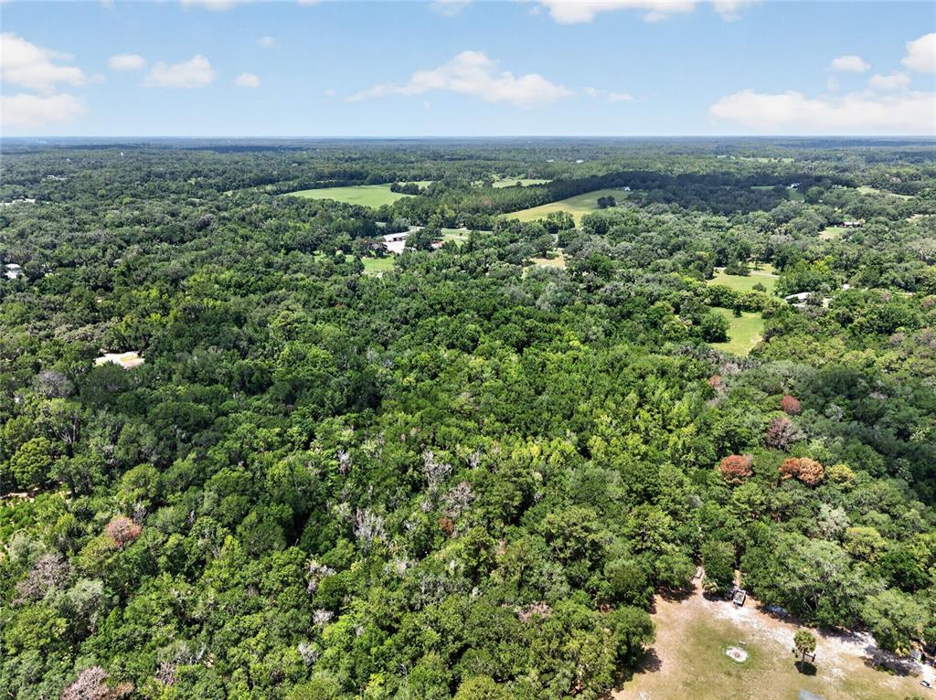 5725 Northwest 219th Street Road Micanopy, FL 32667 - Photo 3 of 17