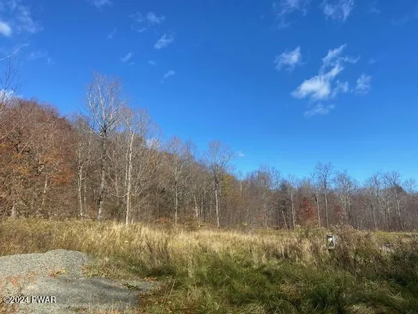 $115,000 | Rotten Road, Equinunk, PA 18417