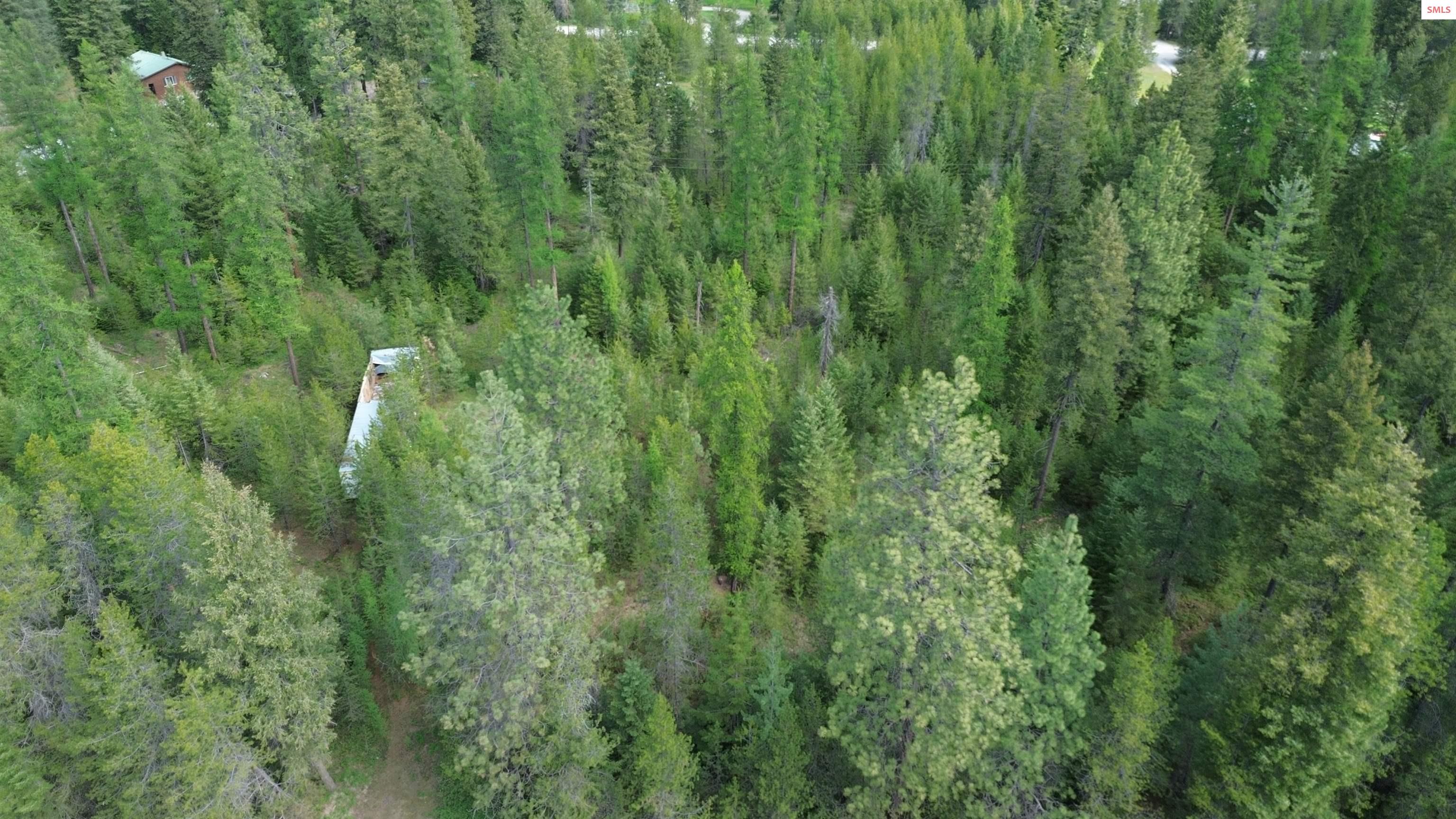 Womack Rd Womack Road Oldtown, ID 83822 - Photo 2 of 5