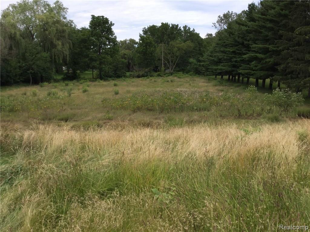 6272 Benore Road Erie, MI 48133 - Photo 49 of 50 image.jpg