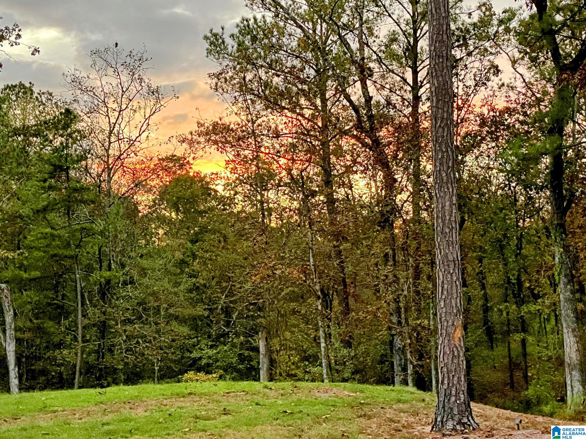 1721 Westover Road Sterrett, AL 35147 - Photo 24 of 31 Gallery Image 24