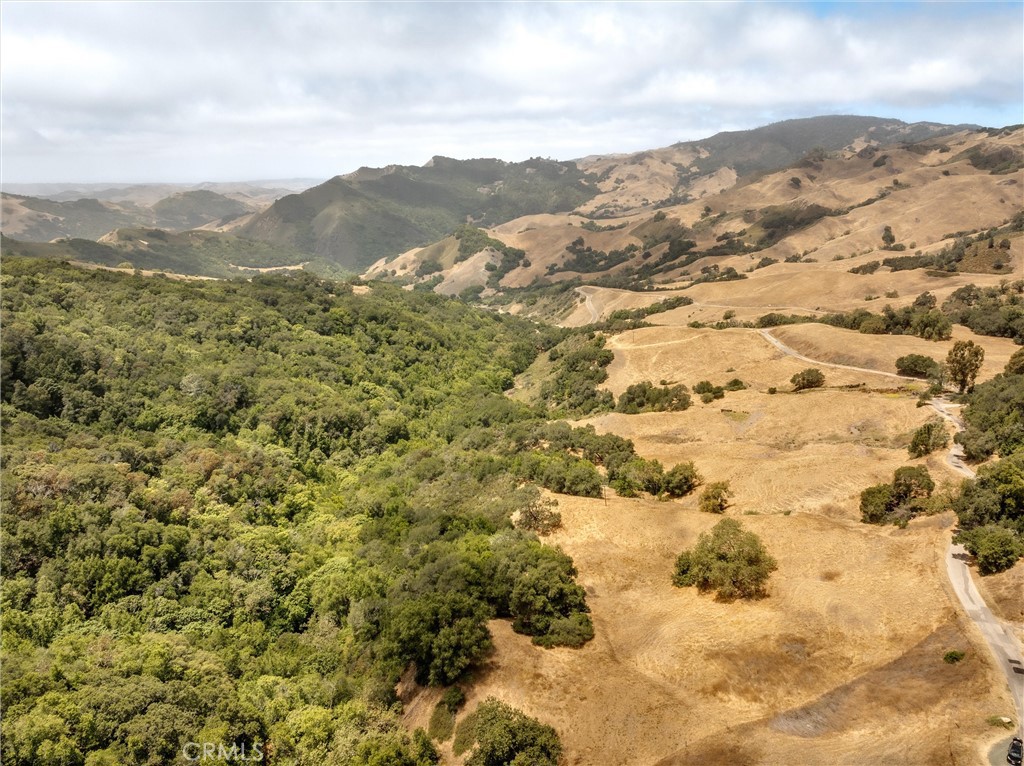 9500 Santa Rosa Creek Road Cambria, CA 93428 - Photo 54 of 58 a view of a mountain range in middle of forest
