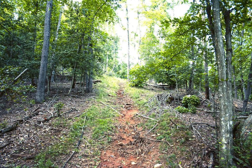 677 Adams Road Hays, NC 28635 - Photo 14 of 27 Gallery Image 14