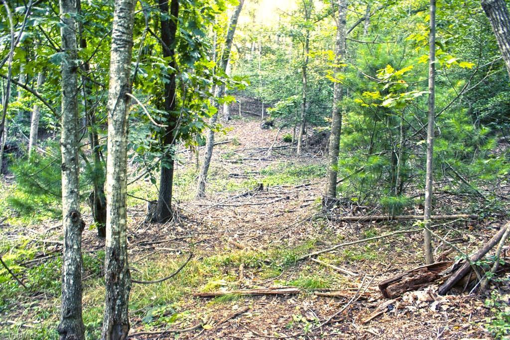 677 Adams Road Hays, NC 28635 - Photo 15 of 27 Gallery Image 15