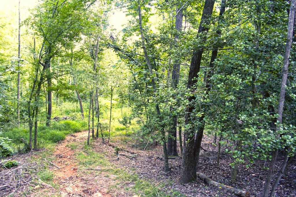 677 Adams Road Hays, NC 28635 - Photo 16 of 27 Gallery Image 16