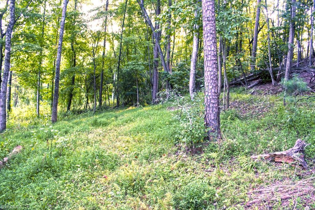 677 Adams Road Hays, NC 28635 - Photo 17 of 27 Gallery Image 17
