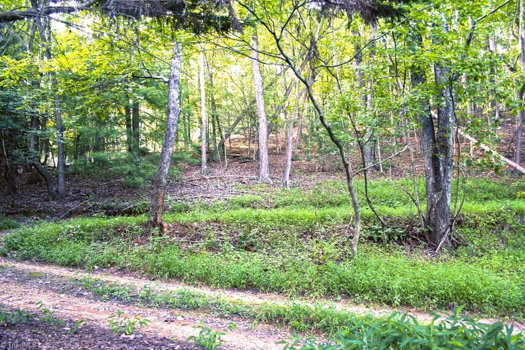 677 Adams Road Hays, NC 28635 - Photo 18 of 27 Gallery Image 18
