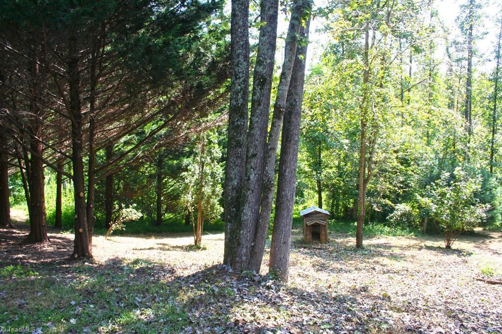 677 Adams Road Hays, NC 28635 - Photo 7 of 27 Gallery Image 7