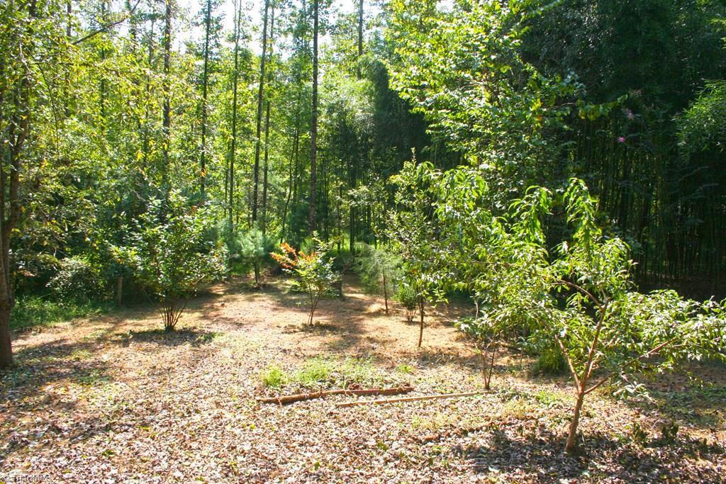 677 Adams Road Hays, NC 28635 - Photo 8 of 27 Gallery Image 8