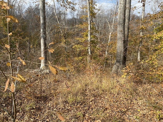 0 Boss Reeves Road North Parsons, TN 38363 - Photo 2 of 12 Gallery Image 2