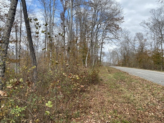 0 Boss Reeves Road North Parsons, TN 38363 - Photo 6 of 12 Gallery Image 6