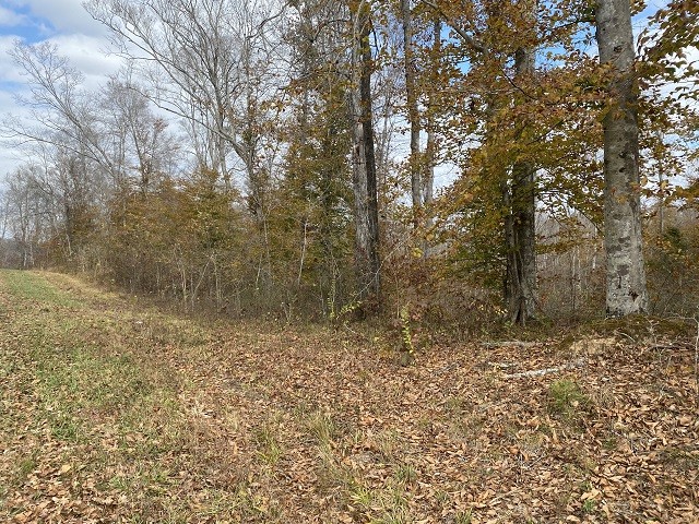 0 Boss Reeves Road North Parsons, TN 38363 - Photo 7 of 12 Gallery Image 7