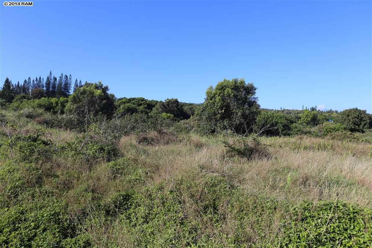0 Haumana Road, Unit 103 Haiku, HI 96708 - Photo 1 of 13 a view of a lake and green valley