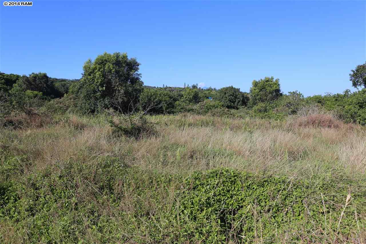 0 Haumana Road, Unit 103 Haiku, HI 96708 - Photo 2 of 13 a view of a lush green space near a lake