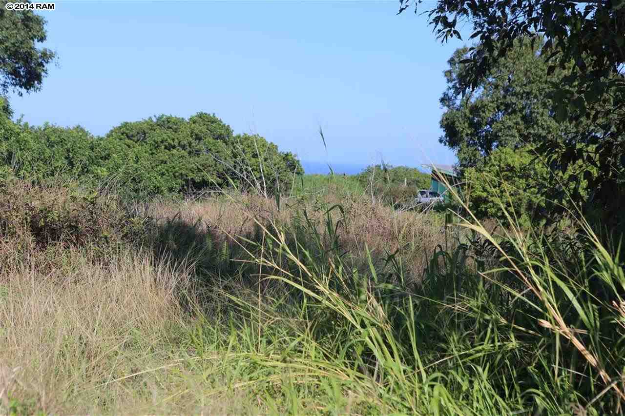 0 Haumana Road, Unit 103 Haiku, HI 96708 - Photo 3 of 13 a view of a garden with a tree