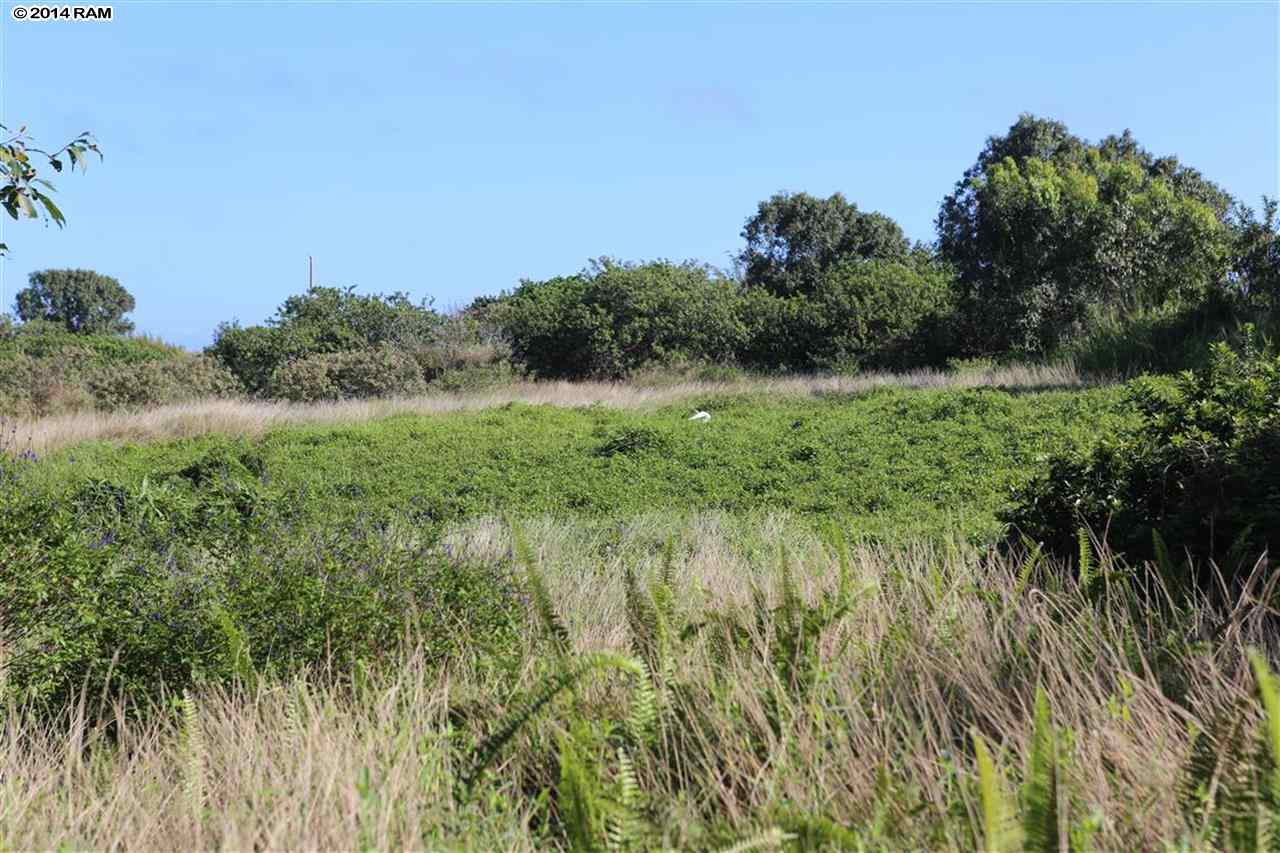 0 Haumana Road, Unit 103 Haiku, HI 96708 - Photo 8 of 13 a view of a lush green space