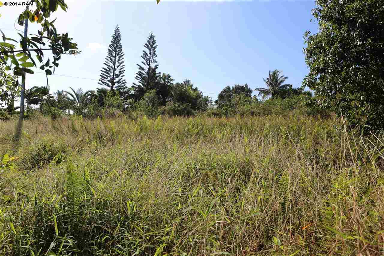 0 Haumana Road, Unit 103 Haiku, HI 96708 - Photo 9 of 13 a view of lake