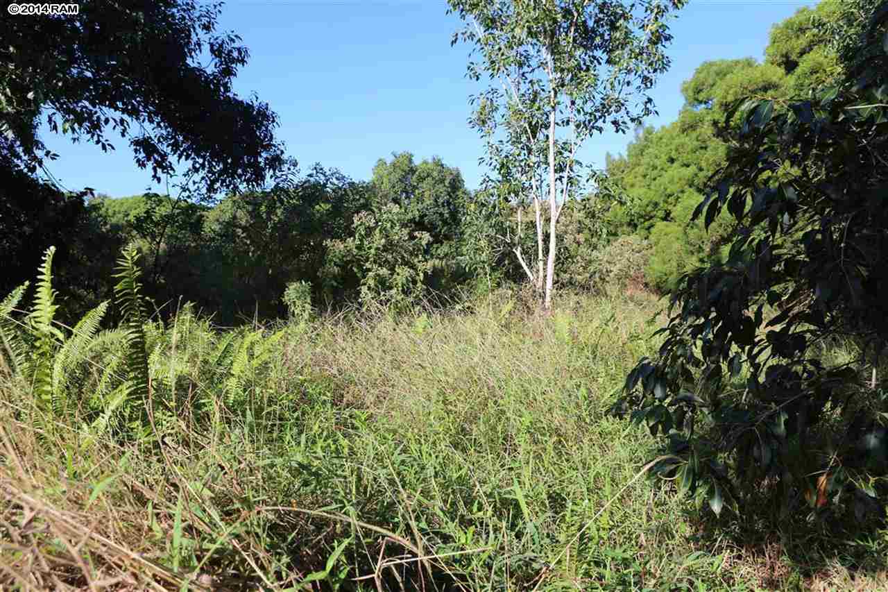 0 Haumana Road, Unit 103 Haiku, HI 96708 - Photo 10 of 13 a view of a garden