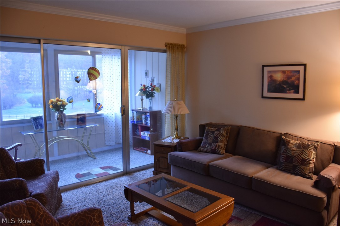 3066 Kent Road, Unit 311 Stow, OH 44224 - Photo 6 of 14 Gallery Image 6