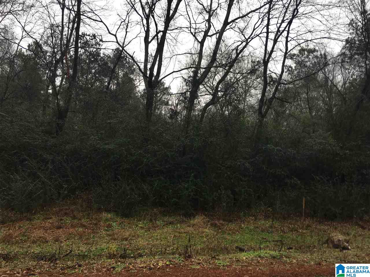 1205 Eureka Road, Unit 3 Lincoln, AL 35096 - Photo 8 of 31