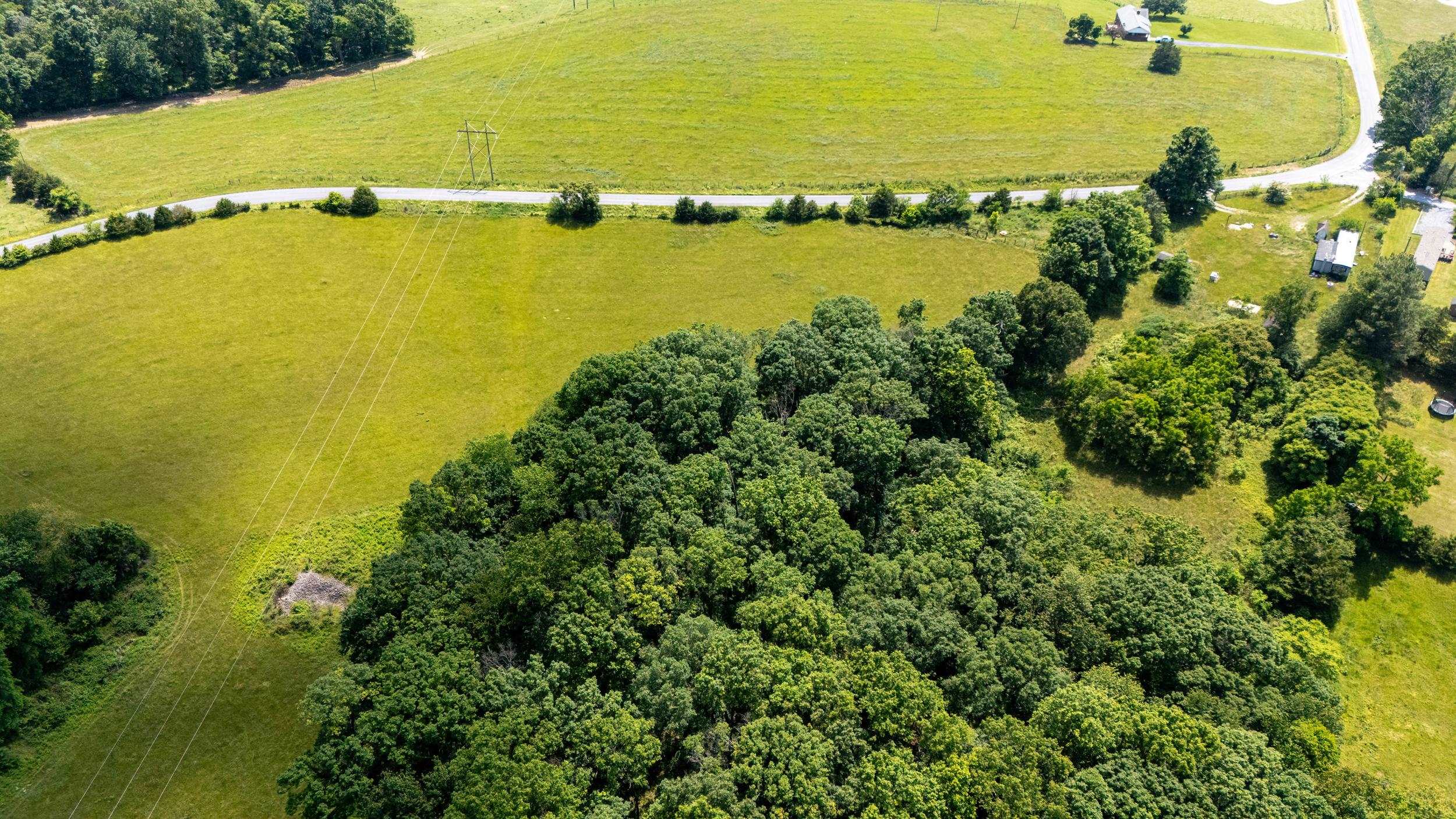 0 Sunnyview Drive Rileyville, VA 22650 - Photo 26 of 55