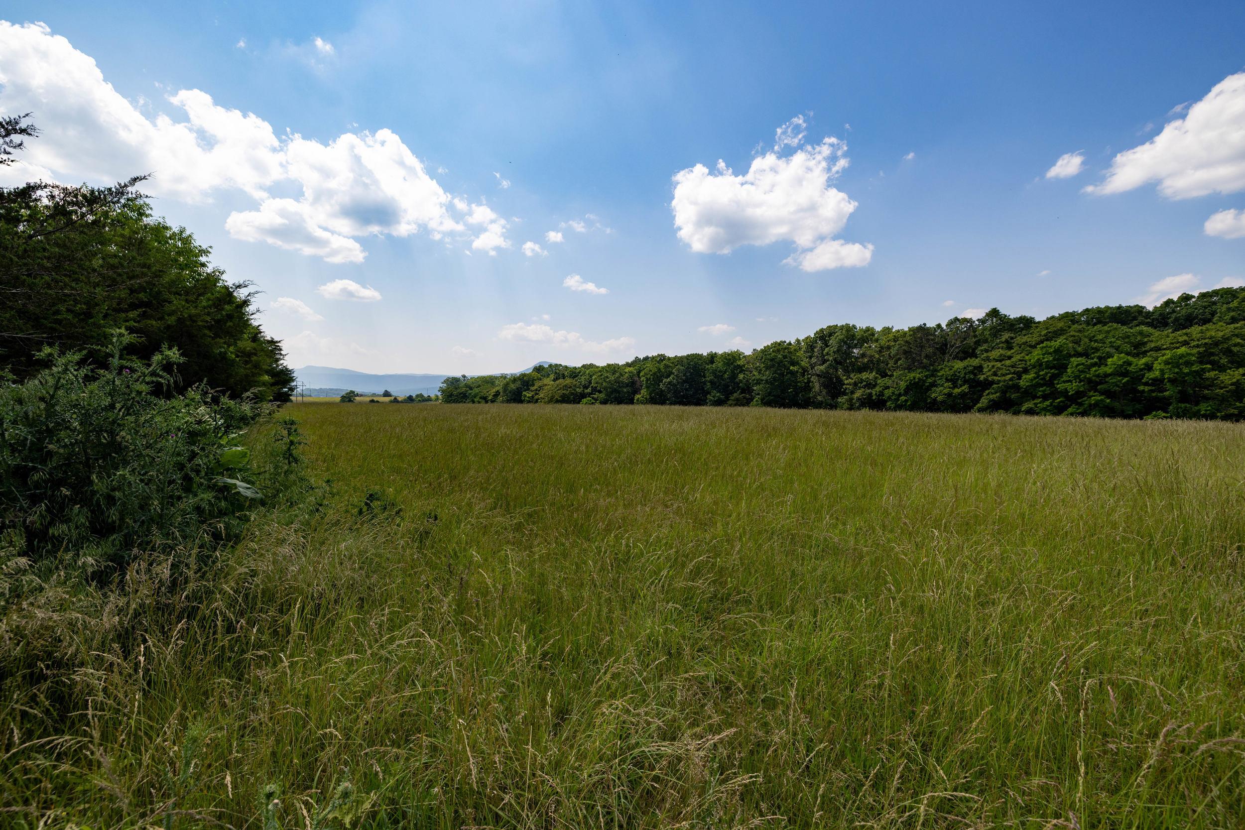 0 Sunnyview Drive Rileyville, VA 22650 - Photo 45 of 55