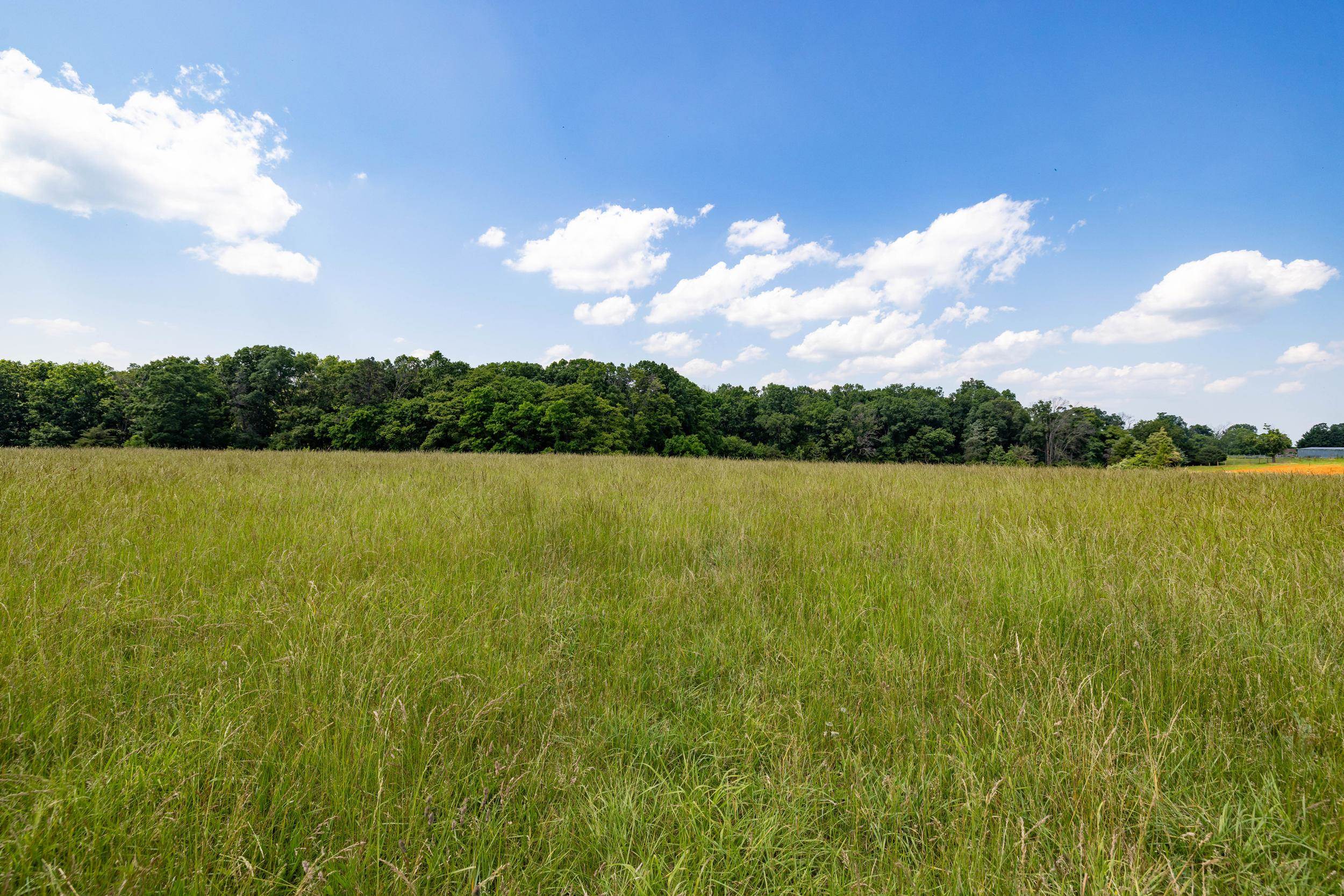 0 Sunnyview Drive Rileyville, VA 22650 - Photo 46 of 55