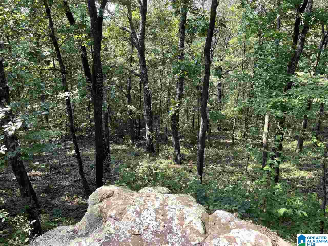 36 Shades Crest Road Birmingham, AL 35226 - Photo 7 of 9