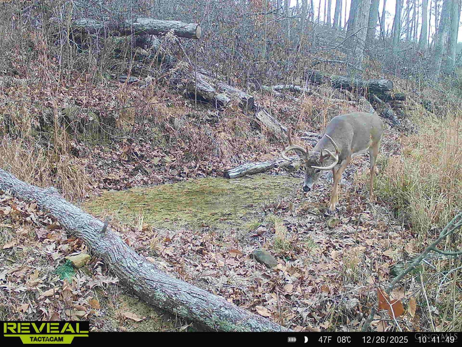 Ac Beech Fork Road Peebles, OH 45660 - Photo 37 of 49
