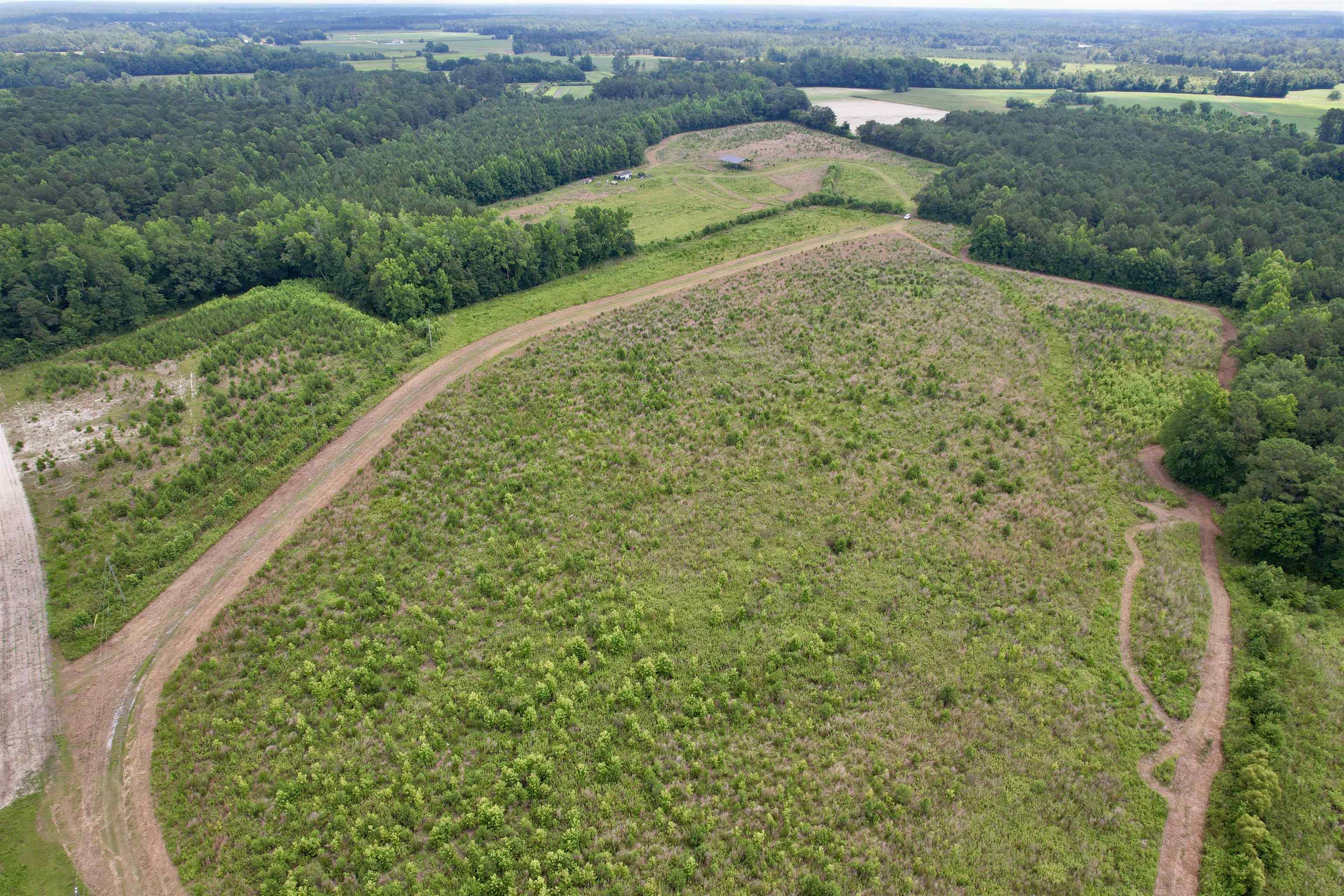 0 Powell Rd Green Green Sea, SC 29545 - Photo 46 of 72