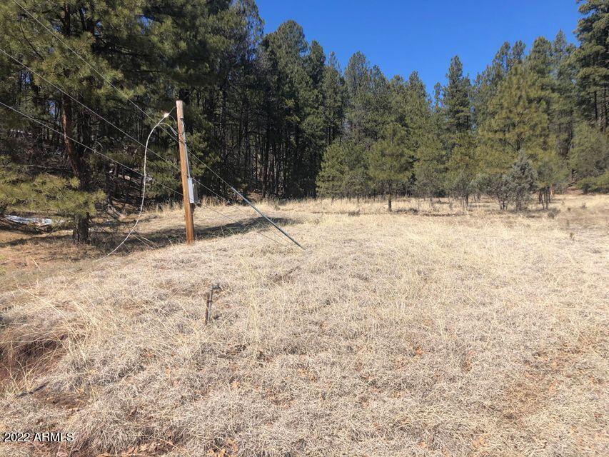 Lot 48 South Cienega Road, Unit 48 Payson, AZ 85541 - Photo 1 of 13 1