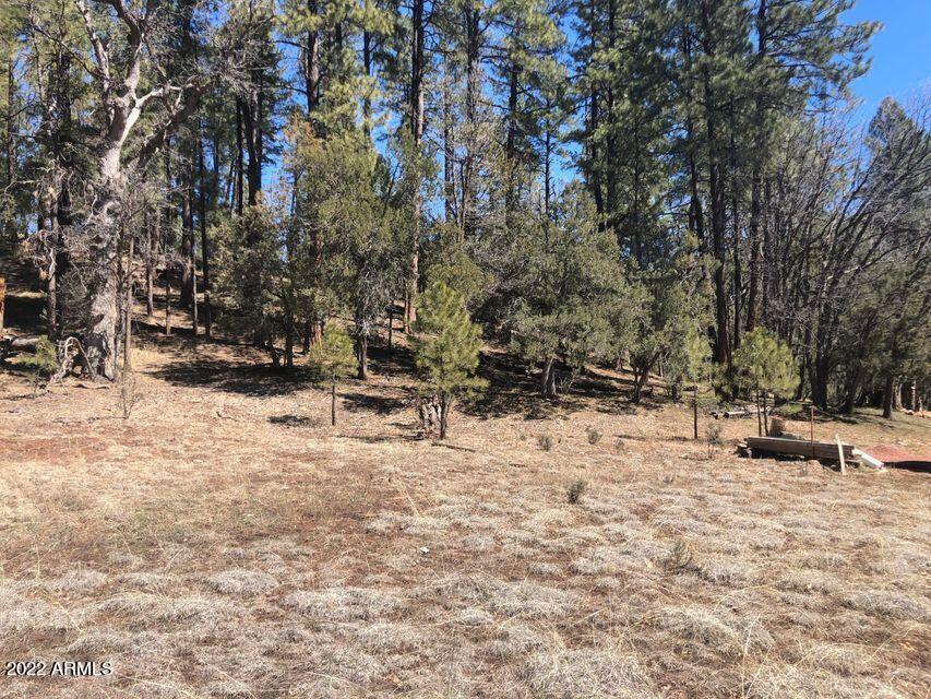 Lot 48 South Cienega Road, Unit 48 Payson, AZ 85541 - Photo 12 of 13 12