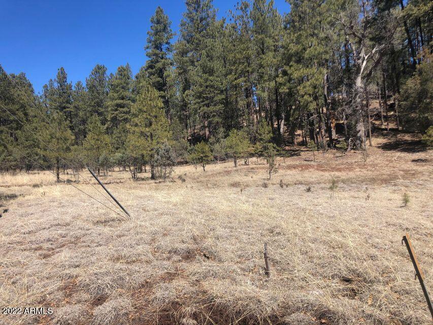 Lot 48 South Cienega Road, Unit 48 Payson, AZ 85541 - Photo 3 of 13 3