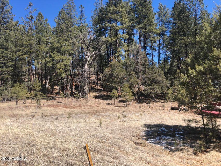 Lot 48 South Cienega Road, Unit 48 Payson, AZ 85541 - Photo 4 of 13 4