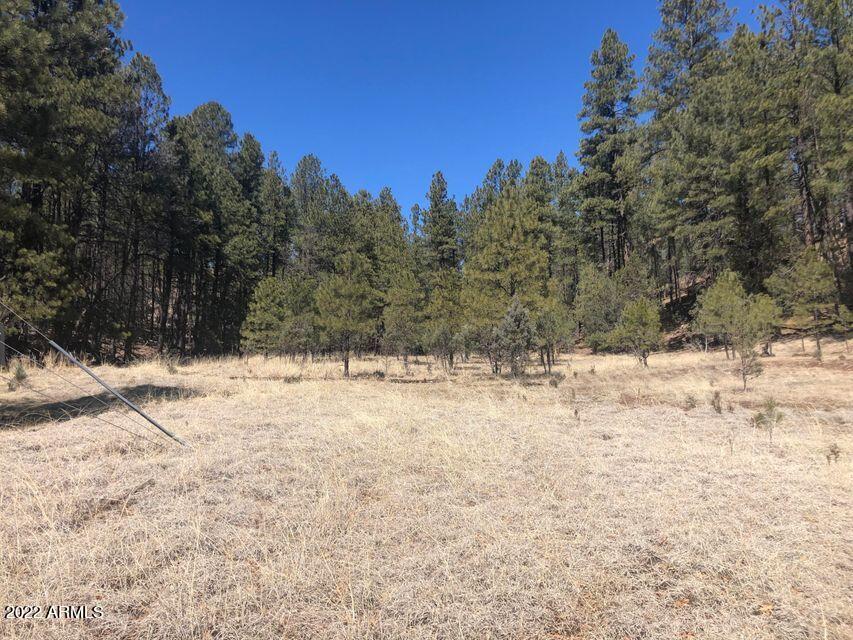 Lot 48 South Cienega Road, Unit 48 Payson, AZ 85541 - Photo 6 of 13 5