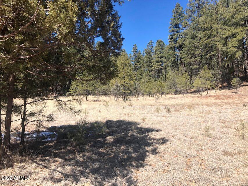 Lot 48 South Cienega Road, Unit 48 Payson, AZ 85541 - Photo 7 of 13 7