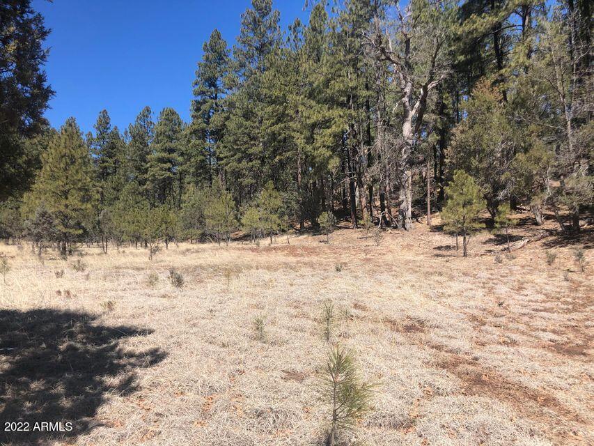 Lot 48 South Cienega Road, Unit 48 Payson, AZ 85541 - Photo 8 of 13 8